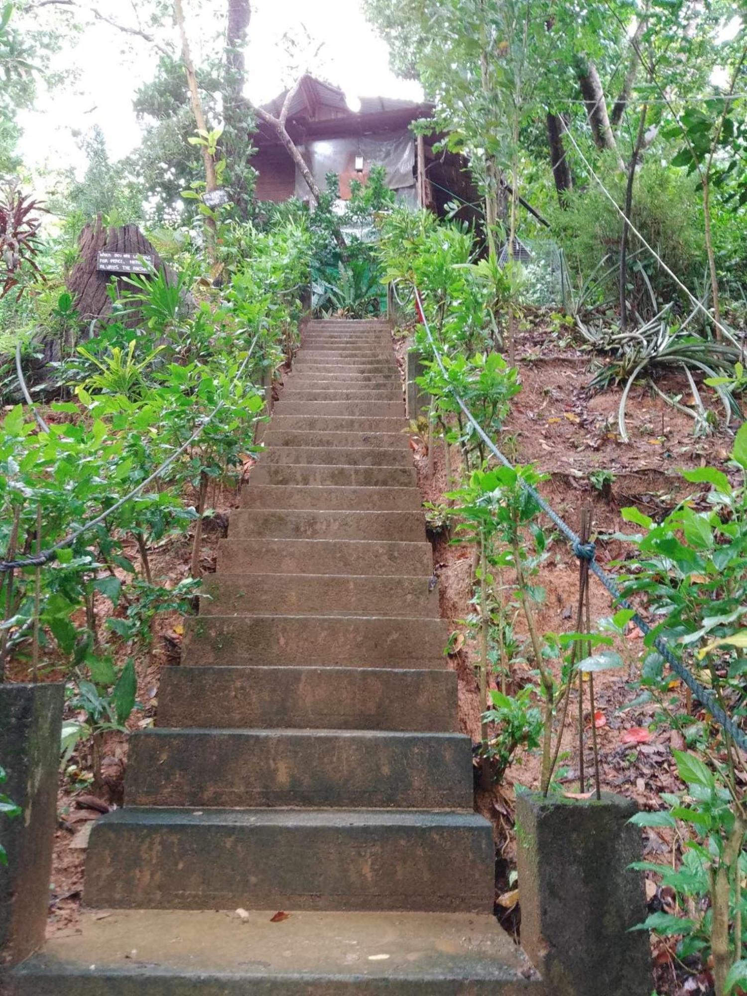 Camp Talusi Hilltop Overlooking El Nido Ngoại thất bức ảnh