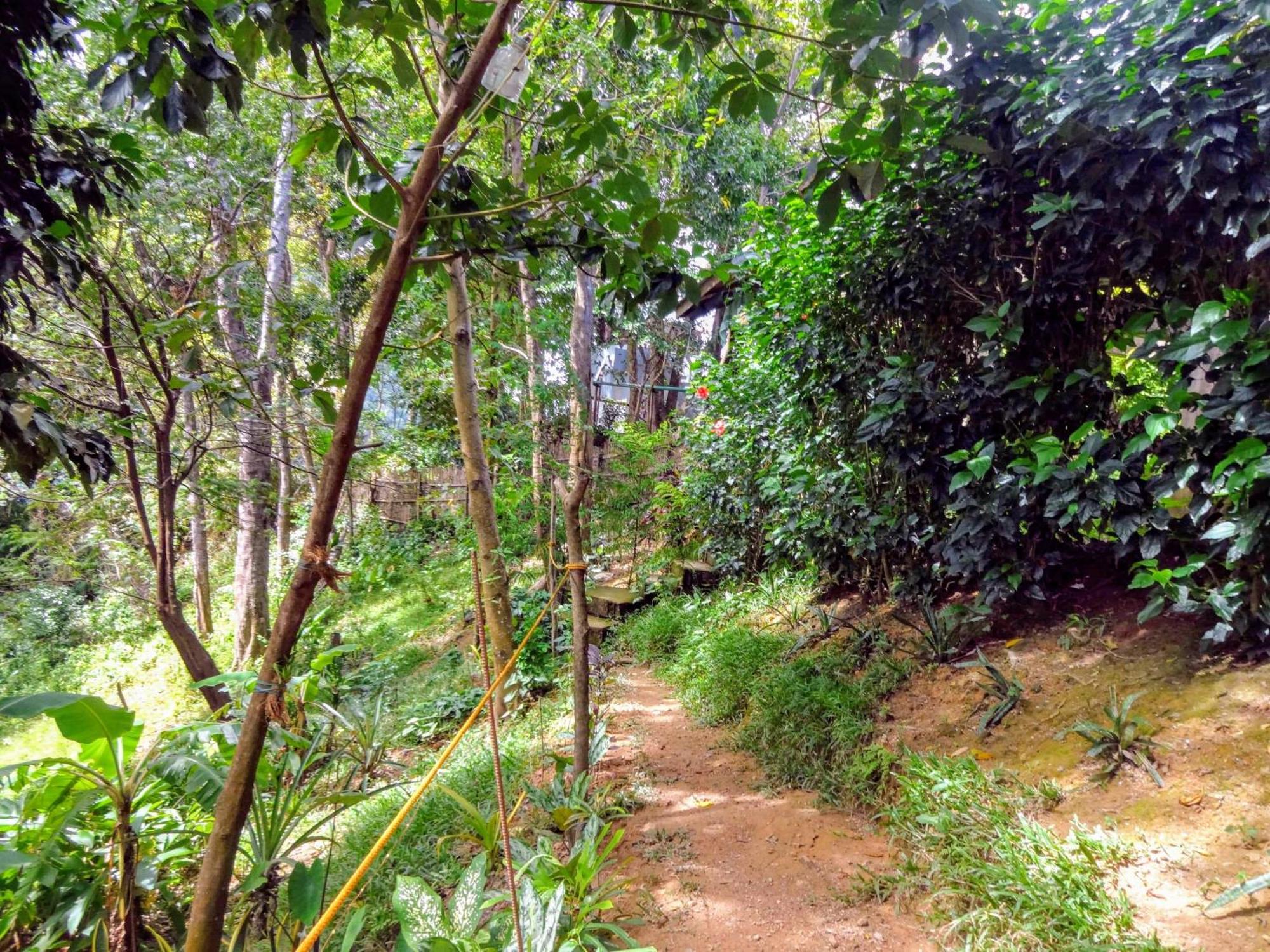 Camp Talusi Hilltop Overlooking El Nido Phòng bức ảnh