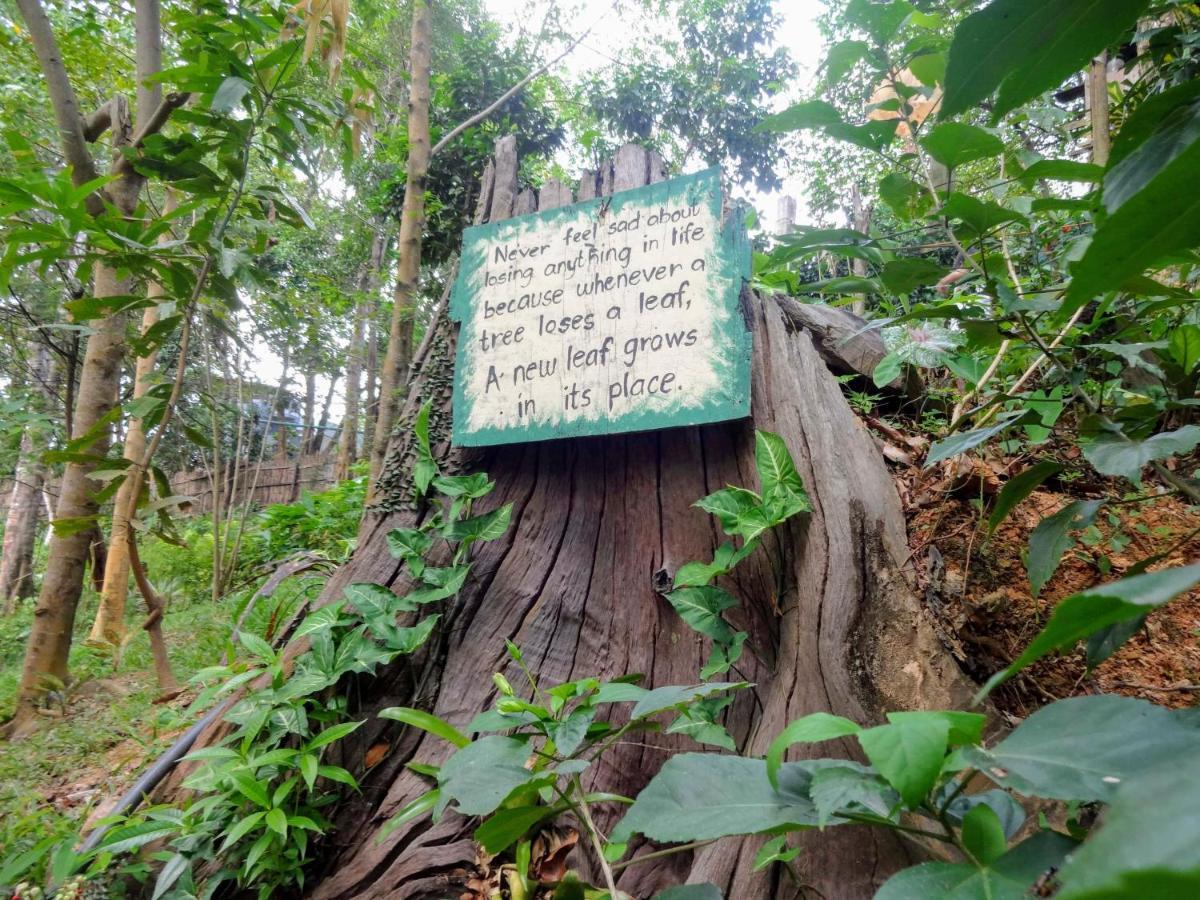 Camp Talusi Hilltop Overlooking El Nido Ngoại thất bức ảnh