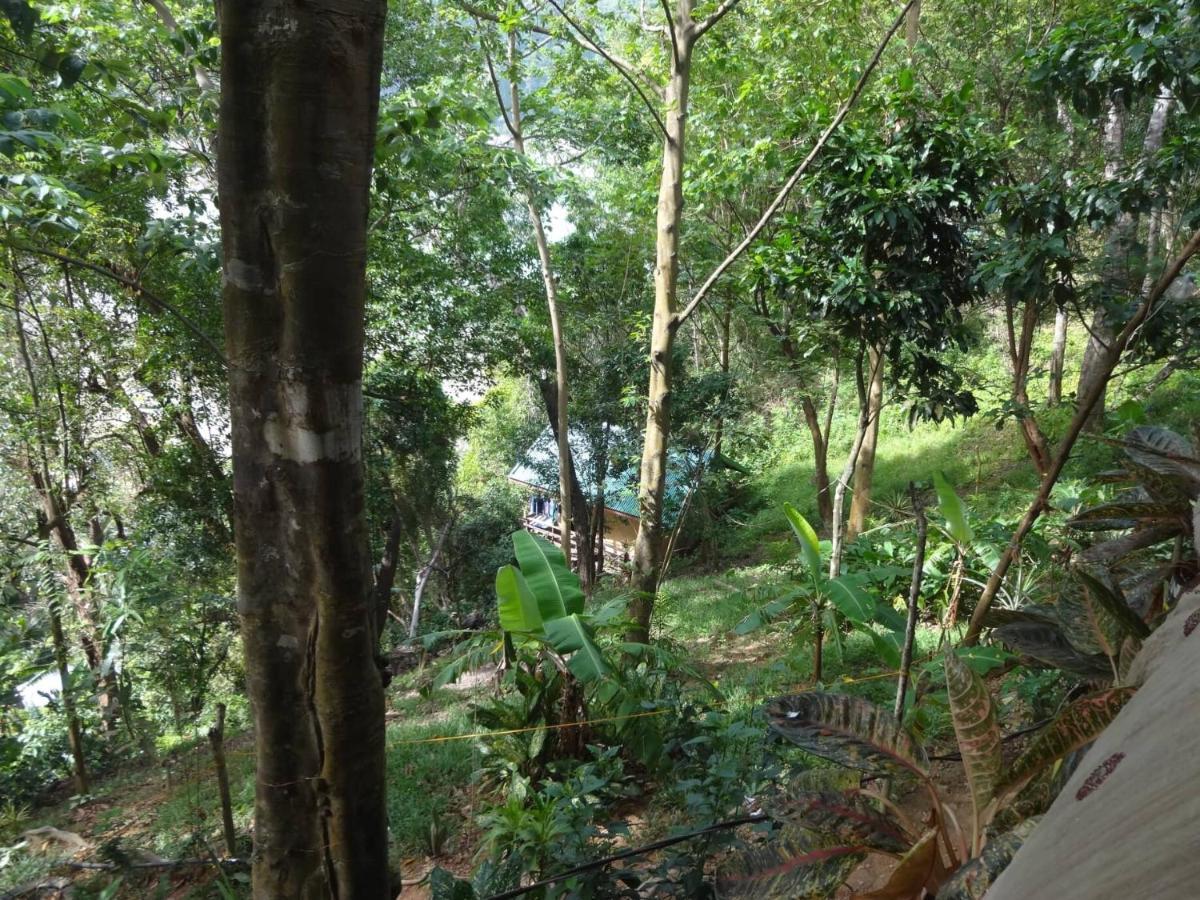 Camp Talusi Hilltop Overlooking El Nido Ngoại thất bức ảnh